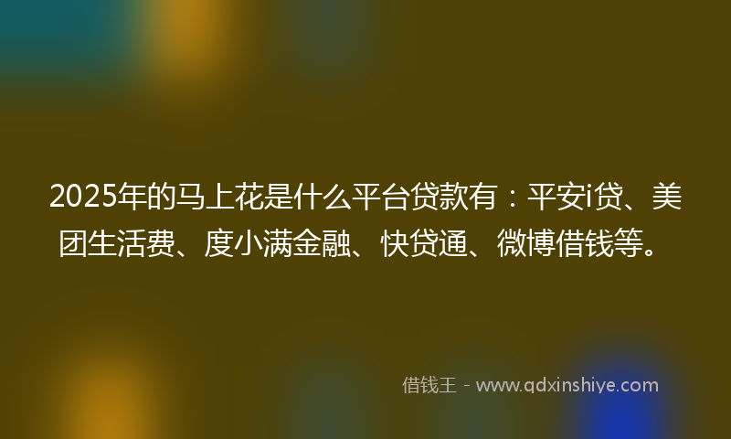 2025年的马上花是什么平台贷款有：平安i贷、美团生活费、度小满金融、快贷通、微博借钱等。