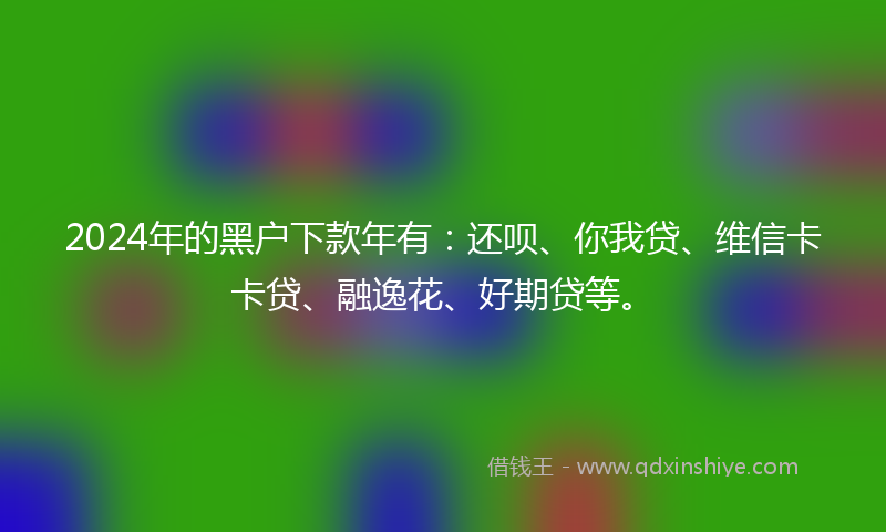 2024年的黑户下款年有：还呗、你我贷、维信卡卡贷、融逸花、好期贷等。