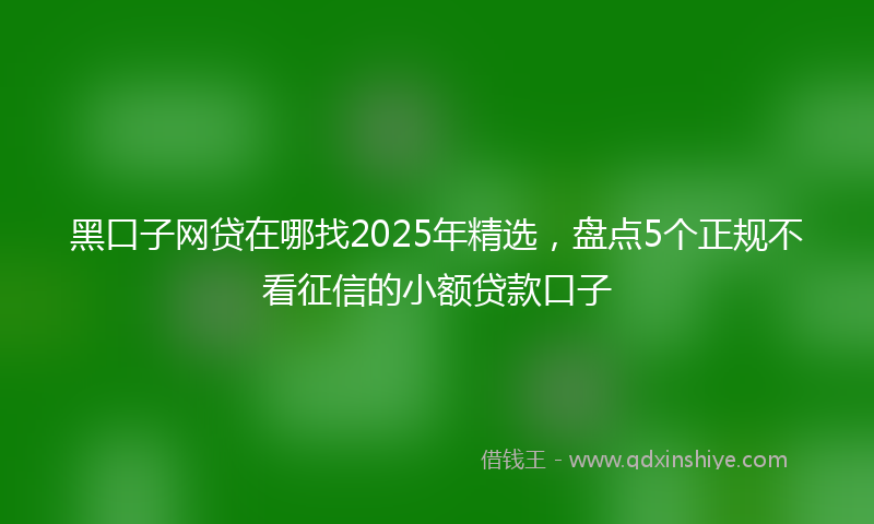 黑口子网贷在哪找2025年精选，盘点5个正规不看征信的小额贷款口子