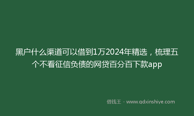 黑户什么渠道可以借到1万2024年精选，梳理五个不看征信负债的网贷百分百下款app
