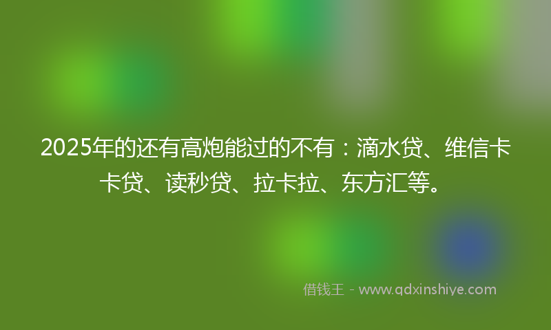 2025年的还有高炮能过的不有：滴水贷、维信卡卡贷、读秒贷、拉卡拉、东方汇等。