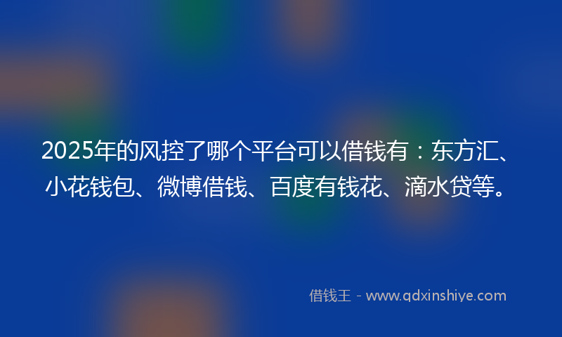 2025年的风控了哪个平台可以借钱有：东方汇、小花钱包、微博借钱、百度有钱花、滴水贷等。