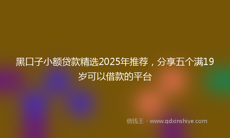 黑口子小额贷款精选2025年推荐，分享五个满19岁可以借款的平台