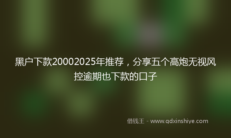 黑户下款20002025年推荐，分享五个高炮无视风控逾期也下款的口子