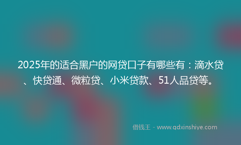 2025年的适合黑户的网贷口子有哪些有：滴水贷、快贷通、微粒贷、小米贷款、51人品贷等。