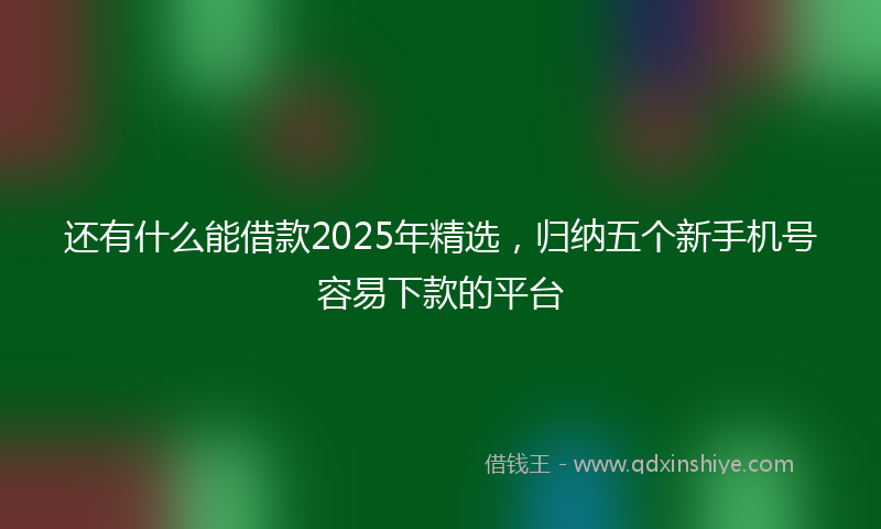 还有什么能借款2025年精选，归纳五个新手机号容易下款的平台