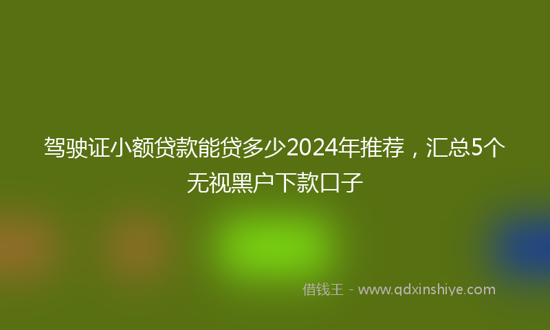 驾驶证小额贷款能贷多少2024年推荐，汇总5个无视黑户下款口子