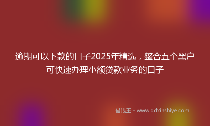 逾期可以下款的口子2025年精选，整合五个黑户可快速办理小额贷款业务的口子