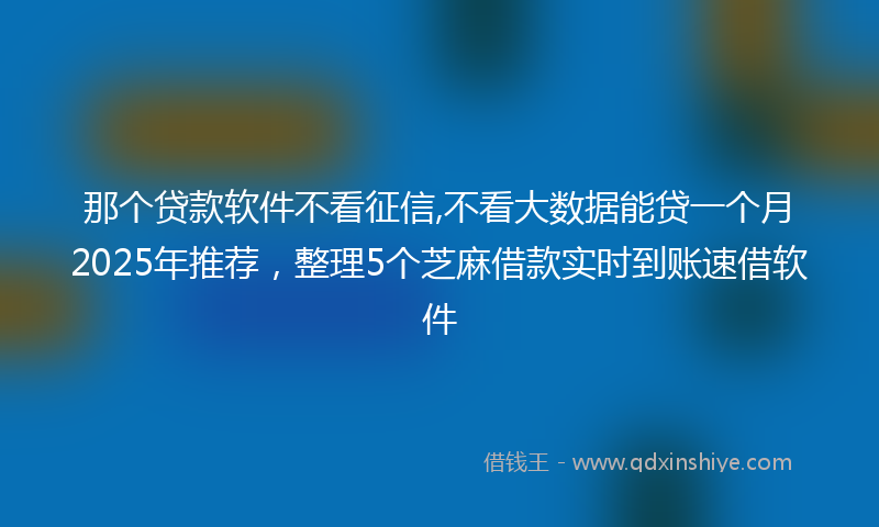 那个贷款软件不看征信,不看大数据能贷一个月2025年推荐，整理5个芝麻借款实时到账速借软件
