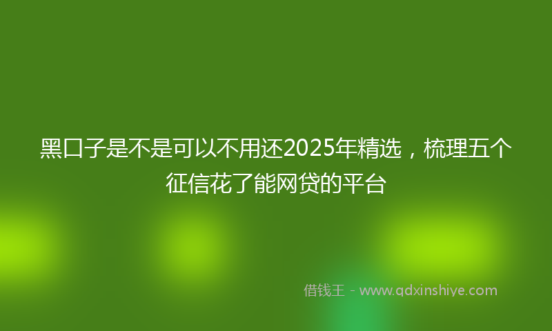 黑口子是不是可以不用还2025年精选，梳理五个征信花了能网贷的平台