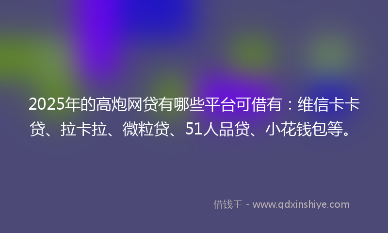 2025年的高炮网贷有哪些平台可借有：维信卡卡贷、拉卡拉、微粒贷、51人品贷、小花钱包等。