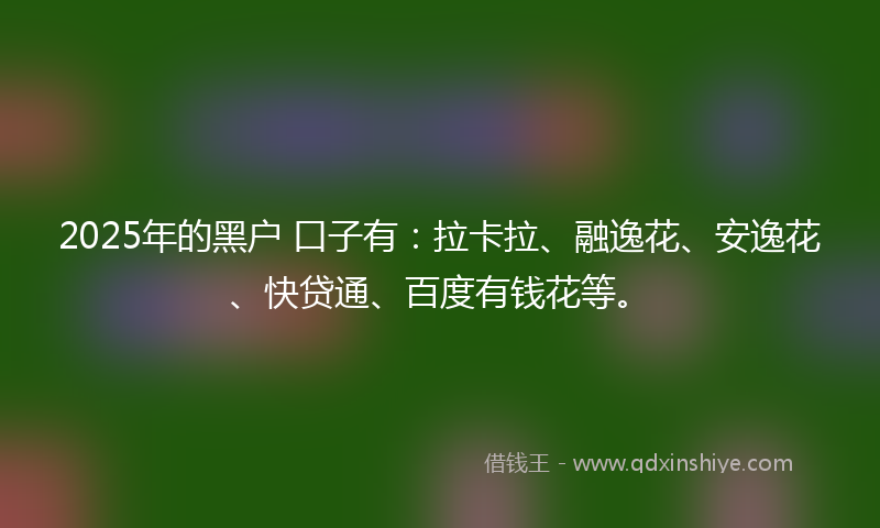 2025年的黑户 口子有：拉卡拉、融逸花、安逸花、快贷通、百度有钱花等。