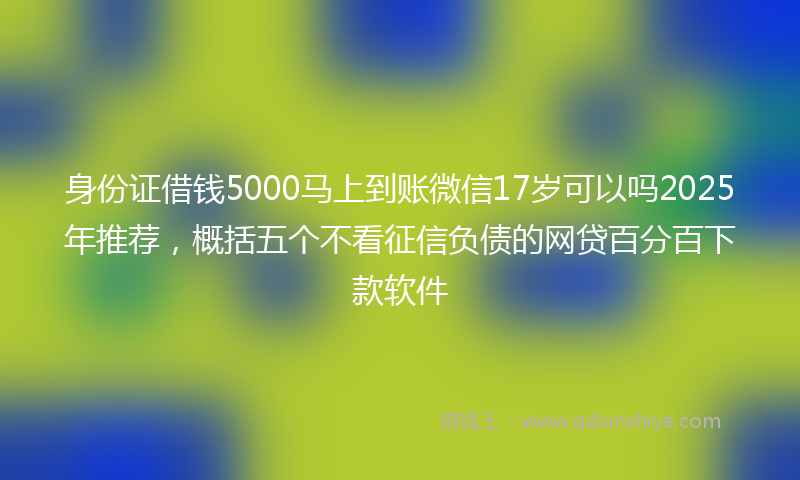 身份证借钱5000马上到账微信17岁可以吗2025年推荐，概括五个不看征信负债的网贷百分百下款软件