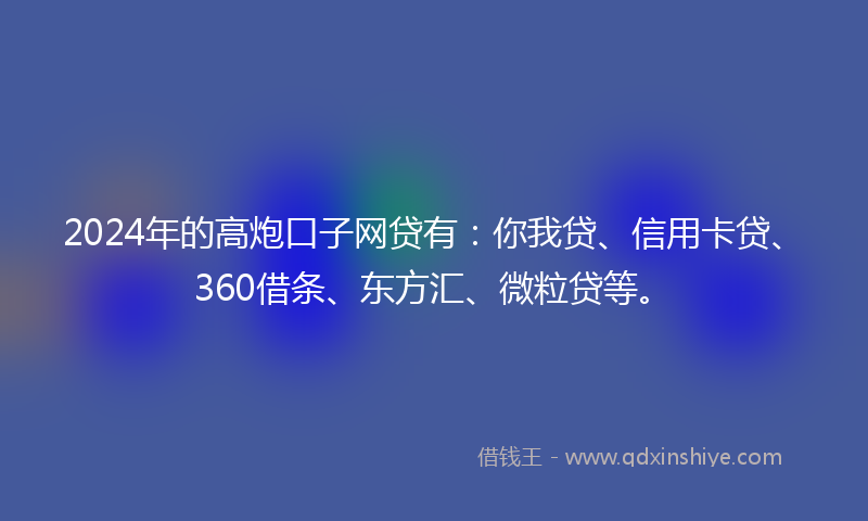 2024年的高炮口子网贷有：你我贷、信用卡贷、360借条、东方汇、微粒贷等。