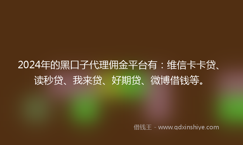 2024年的黑口子代理佣金平台有：维信卡卡贷、读秒贷、我来贷、好期贷、微博借钱等。