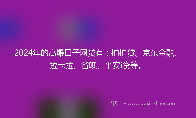 2024年的高爆口子网贷有：拍拍贷、京东金融、拉卡拉、省呗、平安i贷等。