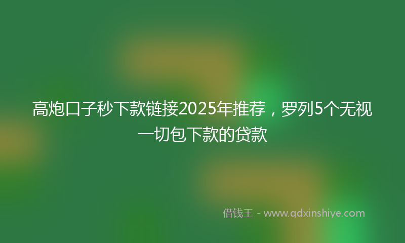 高炮口子秒下款链接2025年推荐，罗列5个无视一切包下款的贷款