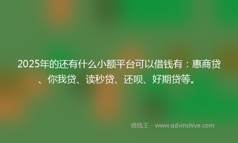 2025年的还有什么小额平台可以借钱有：惠商贷、你我贷、读秒贷、还呗、好期贷等。