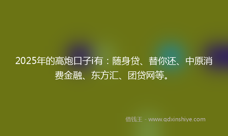 2025年的高炮口子i有：随身贷、替你还、中原消费金融、东方汇、团贷网等。