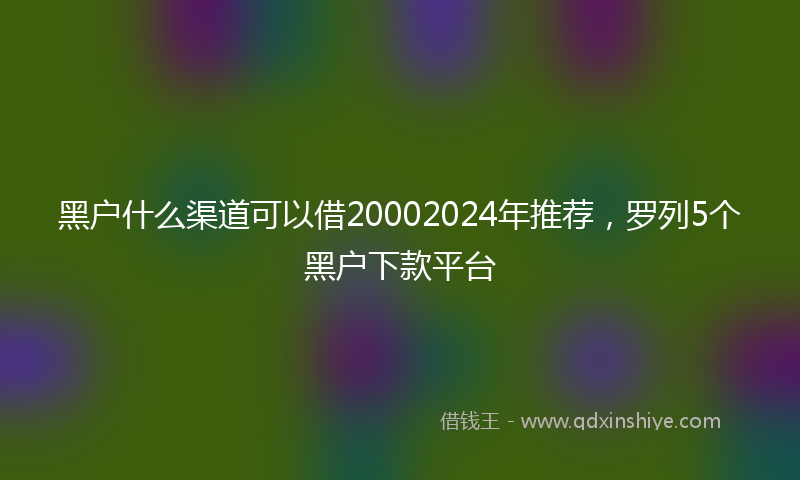 黑户什么渠道可以借20002024年推荐，罗列5个黑户下款平台