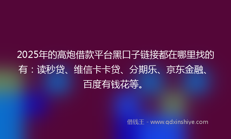 2025年的高炮借款平台黑口子链接都在哪里找的有：读秒贷、维信卡卡贷、分期乐、京东金融、百度有钱花等。