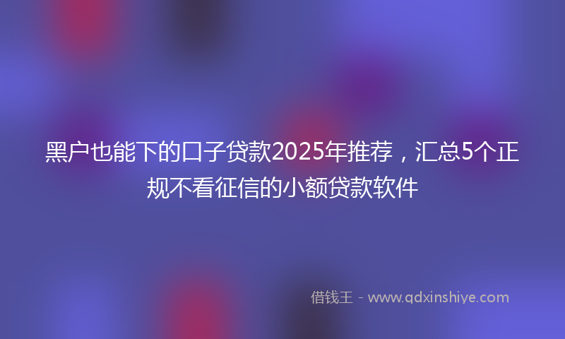 黑户也能下的口子贷款2025年推荐，汇总5个正规不看征信的小额贷款软件