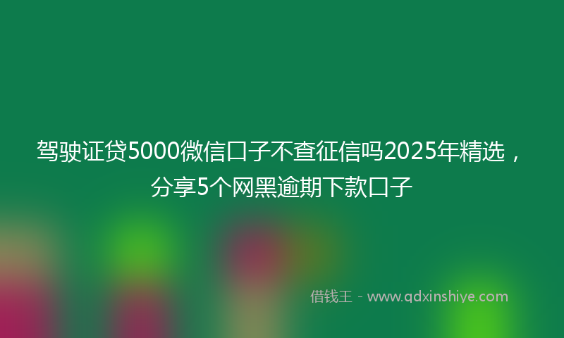 驾驶证贷5000微信口子不查征信吗2025年精选，分享5个网黑逾期下款口子