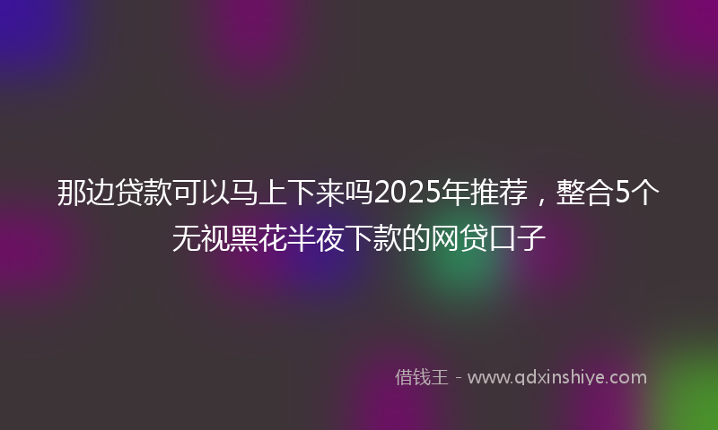 那边贷款可以马上下来吗2025年推荐，整合5个无视黑花半夜下款的网贷口子