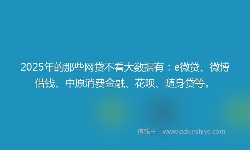 2025年的那些网贷不看大数据有：e微贷、微博借钱、中原消费金融、花呗、随身贷等。