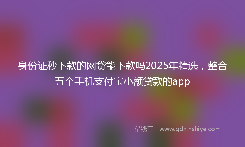 身份证秒下款的网贷能下款吗2025年精选，整合五个手机支付宝小额贷款的app