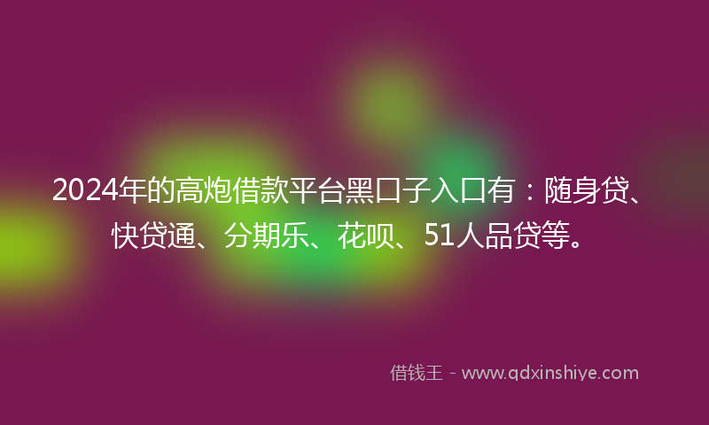 2024年的高炮借款平台黑口子入口有：随身贷、快贷通、分期乐、花呗、51人品贷等。