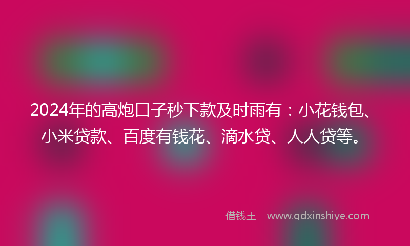 2024年的高炮口子秒下款及时雨有：小花钱包、小米贷款、百度有钱花、滴水贷、人人贷等。