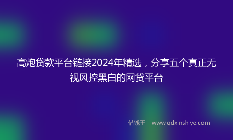 高炮贷款平台链接2024年精选，分享五个真正无视风控黑白的网贷平台