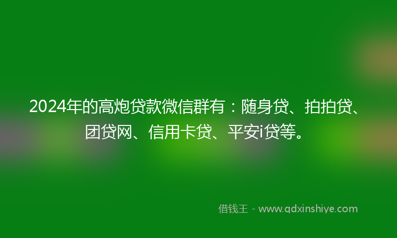 2024年的高炮贷款微信群有：随身贷、拍拍贷、团贷网、信用卡贷、平安i贷等。