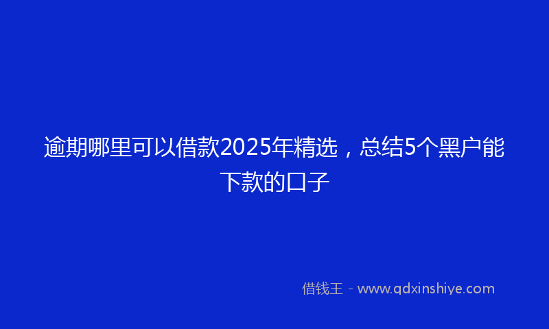 逾期哪里可以借款2025年精选，总结5个黑户能下款的口子