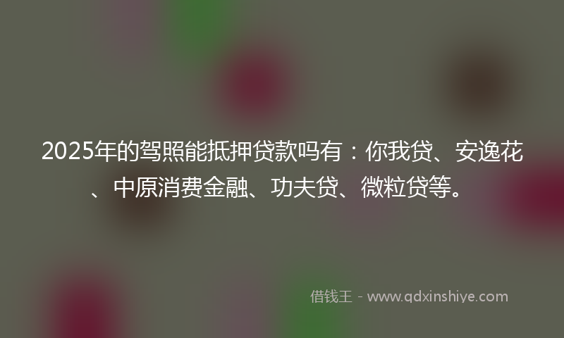 2025年的驾照能抵押贷款吗有：你我贷、安逸花、中原消费金融、功夫贷、微粒贷等。