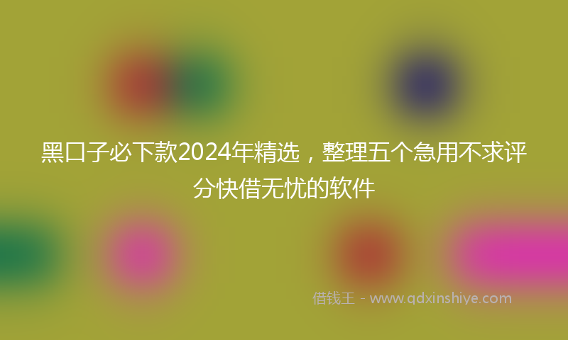 黑口子必下款2024年精选，整理五个急用不求评分快借无忧的软件