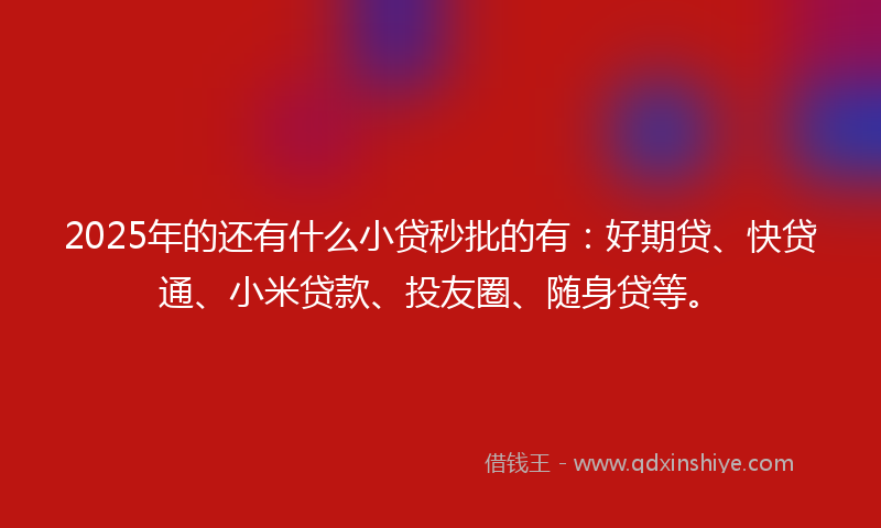 2025年的还有什么小贷秒批的有：好期贷、快贷通、小米贷款、投友圈、随身贷等。