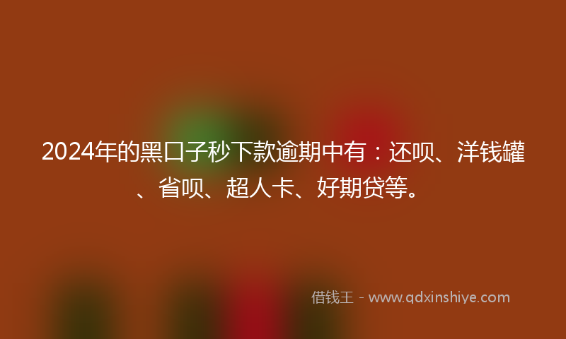 2024年的黑口子秒下款逾期中有：还呗、洋钱罐、省呗、超人卡、好期贷等。