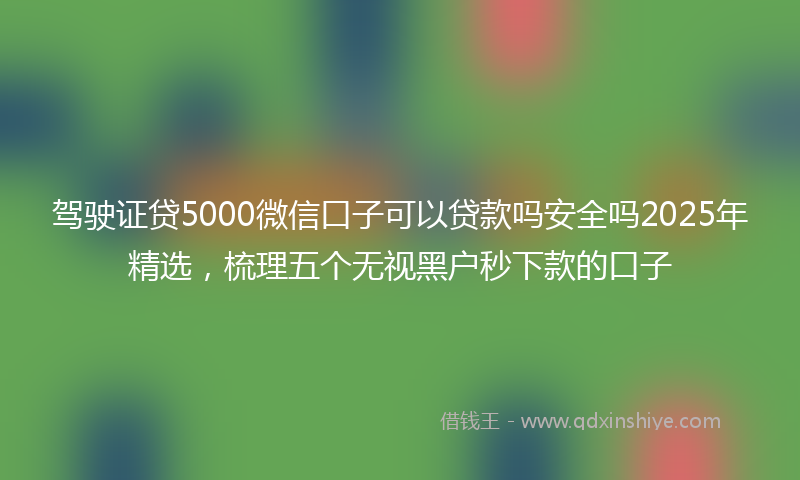 驾驶证贷5000微信口子可以贷款吗安全吗2025年精选，梳理五个无视黑户秒下款的口子