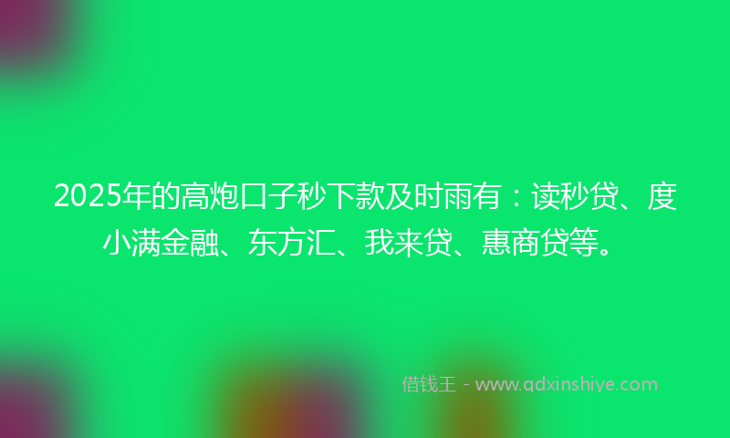 2025年的高炮口子秒下款及时雨有：读秒贷、度小满金融、东方汇、我来贷、惠商贷等。