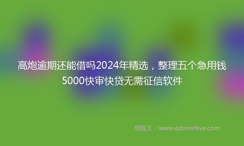 高炮逾期还能借吗2024年精选，整理五个急用钱5000快审快贷无需征信软件