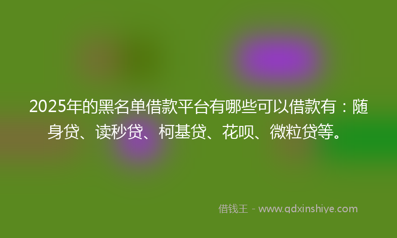 2025年的黑名单借款平台有哪些可以借款有：随身贷、读秒贷、柯基贷、花呗、微粒贷等。