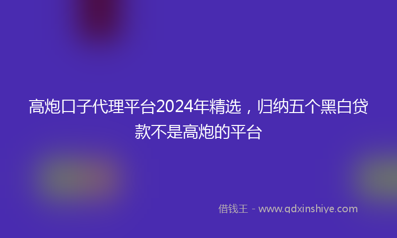 高炮口子代理平台2024年精选，归纳五个黑白贷款不是高炮的平台