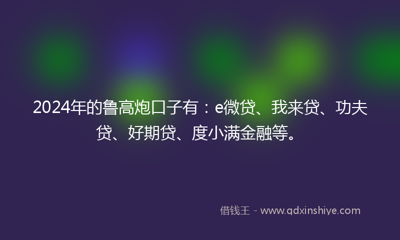 2024年的鲁高炮口子有：e微贷、我来贷、功夫贷、好期贷、度小满金融等。