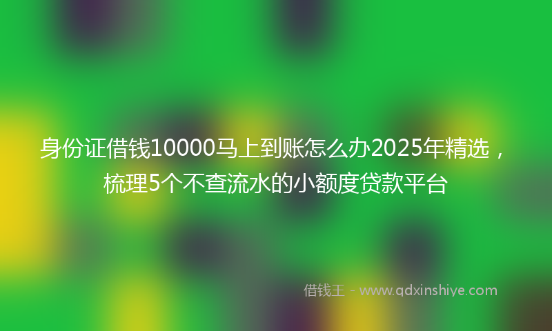 身份证借钱10000马上到账怎么办2025年精选，梳理5个不查流水的小额度贷款平台