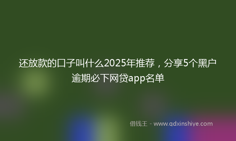 还放款的口子叫什么2025年推荐，分享5个黑户逾期必下网贷app名单