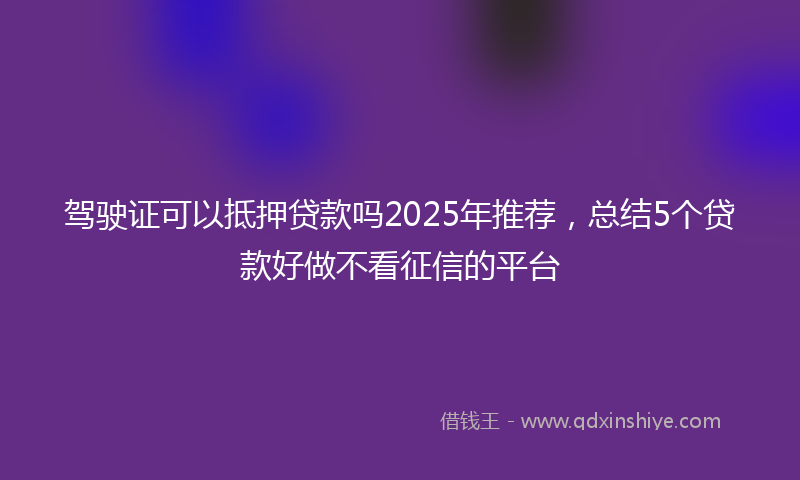 驾驶证可以抵押贷款吗2025年推荐，总结5个贷款好做不看征信的平台