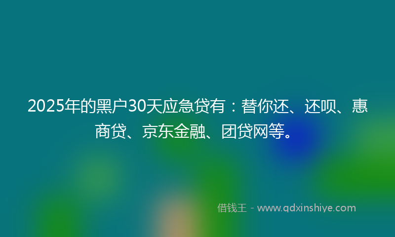 2025年的黑户30天应急贷有：替你还、还呗、惠商贷、京东金融、团贷网等。
