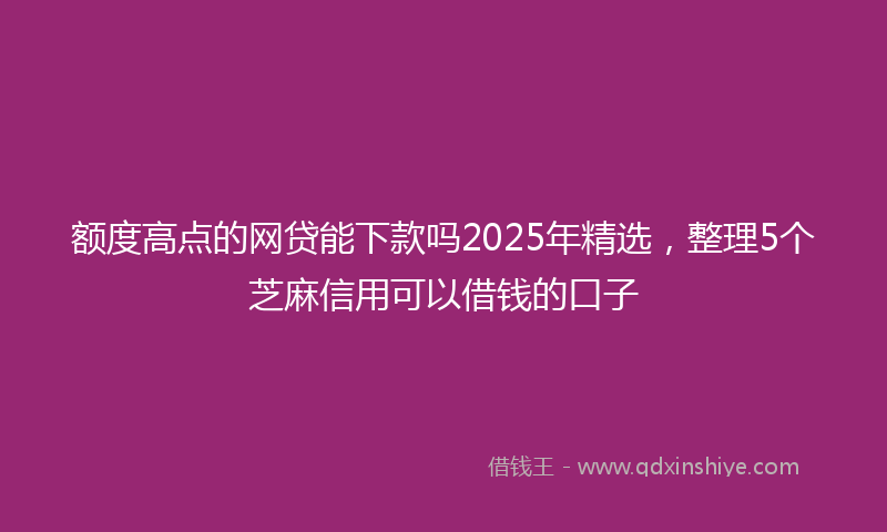 额度高点的网贷能下款吗2025年精选，整理5个芝麻信用可以借钱的口子